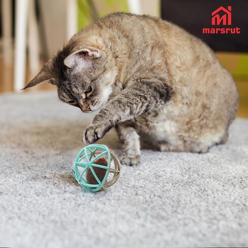 Squeaky Mouse Ball Cat Toy with Simulated Sound, 4.3in Mouse Ball Cage, Squeky Balls for Cats to Play With Indoor, Interactive Plastic Squeak Funny Toys Best for Playing Chasing Chewing Training in Saudi Arabia
