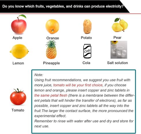 EUDAX Fruit Battery Science Experiment Kit for DIY School Home Teaching Equipment, Orange Lemon Potato Electronic Clock Science Project Kit Physics Educational for Students Teachers (4 Set) in Saudi Arabia