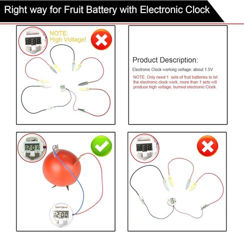 EUDAX Fruit Battery Science Experiment Kit for DIY School Home Teaching Equipment, Orange Lemon Potato Electronic Clock Science Project Kit Physics Educational for Students Teachers (4 Set) in Saudi Arabia