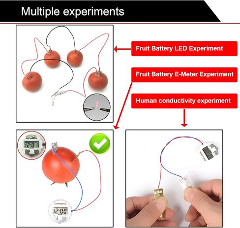 EUDAX Fruit Battery Science Experiment Kit for DIY School Home Teaching Equipment, Orange Lemon Potato Electronic Clock Science Project Kit Physics Educational for Students Teachers (4 Set) in Saudi Arabia