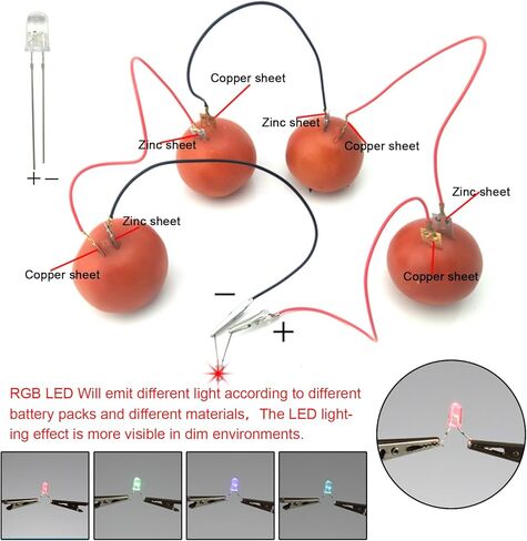EUDAX Fruit Battery Science Experiment Kit for DIY School Home Teaching Equipment, Orange Lemon Potato Electronic Clock Science Project Kit Physics Educational for Students Teachers (4 Set) in Saudi Arabia