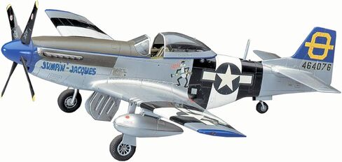 هاسيغاوا 1/48 P-51D موستانج in Saudi Arabia