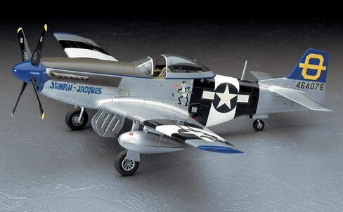 هاسيغاوا 1/48 P-51D موستانج in Saudi Arabia