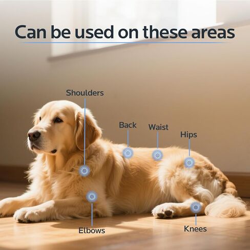 العلاج بالضوء الأحمر للكلاب، حزام العلاج بالضوء الأحمر القابل للارتداء لإصلاح جروح الحيوانات الأليفة، وتخفيف آلام المفاصل والظهر، 12.8 × 6.8 بوصة 660/850 نانومتر 80-LED in Kuwait