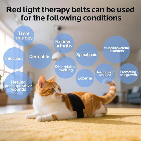 العلاج بالضوء الأحمر للكلاب، حزام العلاج بالضوء الأحمر القابل للارتداء لإصلاح جروح الحيوانات الأليفة، وتخفيف آلام المفاصل والظهر، 12.8 × 6.8 بوصة 660/850 نانومتر 80-LED in Kuwait