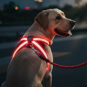 حزام للكلاب بإضاءة LED متعدد الألوان، عاكس للضوء، سترة أمان مضيئة للكلاب الأليفة (قابلة للتعديل، خفيفة الوزن، مقاومة للمطر، قابلة لإعادة الشحن عبر USB) (كبير) in Kuwait