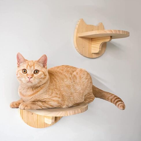 أرجوحة SHENGOCASE Macrame Boho Cat مع 3 خطوات وخطاف، سرير متأرجح مثبت على الحائط، سرير معلق للقطط للقطط الداخلية، أثاث حائط (13 بوصة) in Kuwait