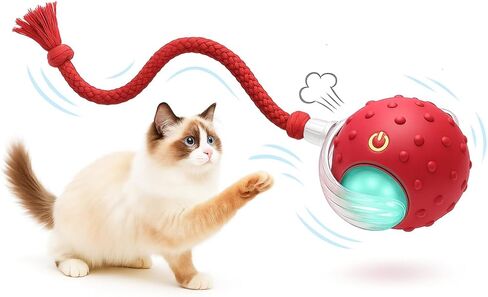 Interactive Cat Toy Ball for Indoor Cats – Fast Rolling on Carpet, Motion Activated with Chirping Sounds, Smart Play Toy (Crimson) in Saudi Arabia