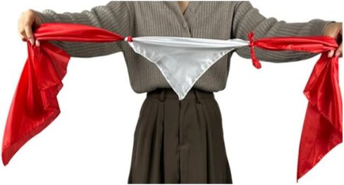 كوميدي سيلك - مفاجأة مرحة ماجيك سيلك للعروض المسرحية والمقربة in Kuwait