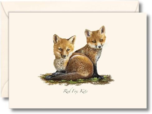 Earth Sky + Water - مجموعة Red Fox Kits Notecard - 8 بطاقات فارغة مع مظاريف in Kuwait