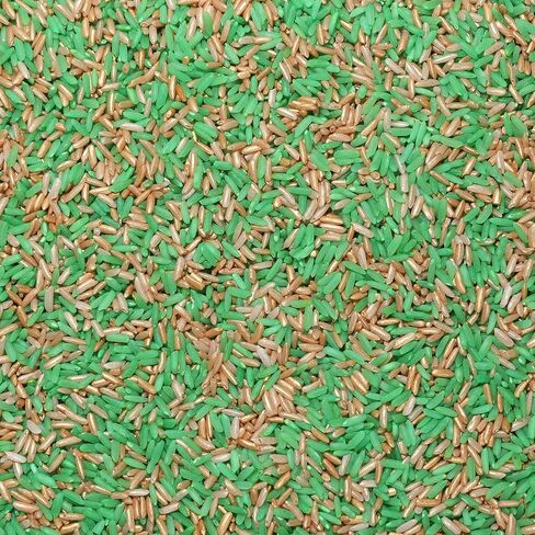 St. Patrick’s Day Sensory Play Rice for Kids, 2 lbs – Green & Gold Sensory Bin Filler for Scooping, Pouring, Sorting & Creative Play – Perfect for Sensory Bins, Tables & Fine Motor Practice – Ages 3+ in Saudi Arabia