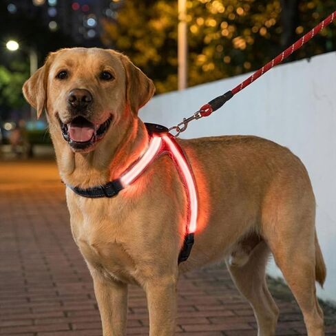 حزام للكلاب بإضاءة LED متعدد الألوان، عاكس للضوء، سترة أمان مضيئة للكلاب الأليفة (قابلة للتعديل، خفيفة الوزن، مقاومة للمطر، قابلة لإعادة الشحن عبر USB) (كبير) in Kuwait