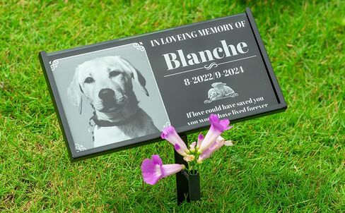 حامل علامة القبر، حامل شاهد القبر عالي التحمل، نصب تذكاري، دعم اللوحة التذكارية للحيوانات الأليفة، الكلب، القط، شاهد القبر، شاهد القبر، حامل حجر تذكاري للحديقة (للوحة مقاس 12 بوصة × 6 بوصة) in Kuwait