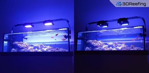 Radion XR15 LED Reef Light Shade in Saudi Arabia