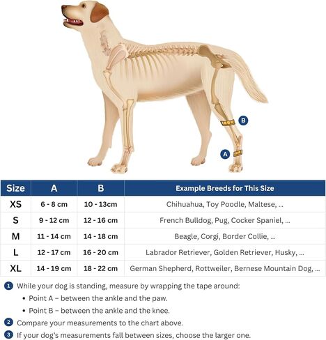 Dog Hock Brace for Ankle Support & Arthritis, Vet Approved Dog Back Leg Brace, Adjustable with Removable Splints, Orthopedic Support for Injuries, Sprains & Post-Surgery Recovery (X Small) in Saudi Arabia