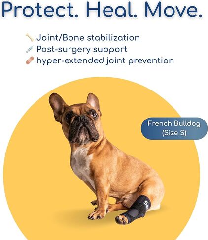 Dog Hock Brace for Ankle Support & Arthritis, Vet Approved Dog Back Leg Brace, Adjustable with Removable Splints, Orthopedic Support for Injuries, Sprains & Post-Surgery Recovery (X Small) in Saudi Arabia