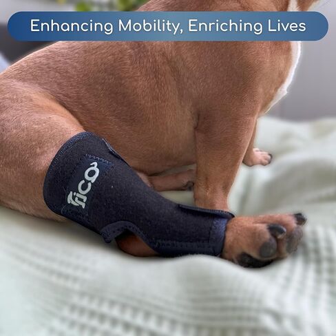 Dog Hock Brace for Ankle Support & Arthritis, Vet Approved Dog Back Leg Brace, Adjustable with Removable Splints, Orthopedic Support for Injuries, Sprains & Post-Surgery Recovery (X Small) in Saudi Arabia