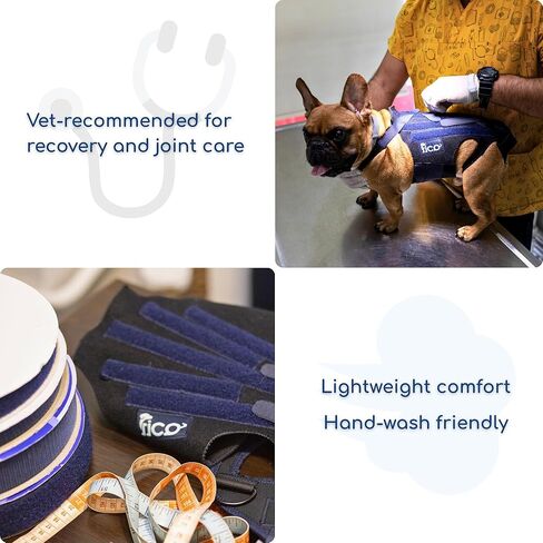 Dog Hock Brace for Ankle Support & Arthritis, Vet Approved Dog Back Leg Brace, Adjustable with Removable Splints, Orthopedic Support for Injuries, Sprains & Post-Surgery Recovery (X Small) in Saudi Arabia