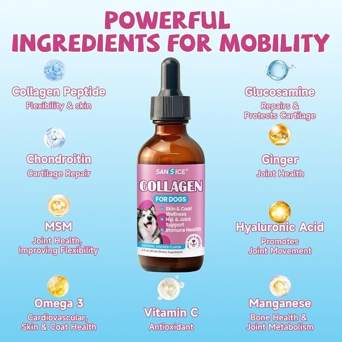 الكولاجين لصحة المفاصل للكلاب، قطرات كولاجين للكلاب التي تتغذى على العشب مع أوميغا 3، فيتامين C للبشرة والمعطف، مكمل الورك والمفاصل مع الجلوكوزامين، الكوندرويتين، حمض الهيالورونيك، العظام، المناعة -2 فلوريدا in Kuwait