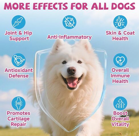 الكولاجين لصحة المفاصل للكلاب، قطرات كولاجين للكلاب التي تتغذى على العشب مع أوميغا 3، فيتامين C للبشرة والمعطف، مكمل الورك والمفاصل مع الجلوكوزامين، الكوندرويتين، حمض الهيالورونيك، العظام، المناعة -2 فلوريدا in Kuwait