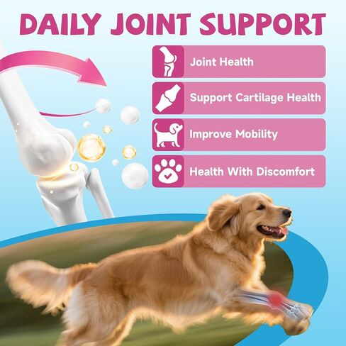 الكولاجين لصحة المفاصل للكلاب، قطرات كولاجين للكلاب التي تتغذى على العشب مع أوميغا 3، فيتامين C للبشرة والمعطف، مكمل الورك والمفاصل مع الجلوكوزامين، الكوندرويتين، حمض الهيالورونيك، العظام، المناعة -2 فلوريدا in Kuwait