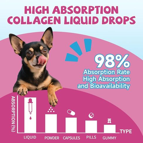 الكولاجين لصحة المفاصل للكلاب، قطرات كولاجين للكلاب التي تتغذى على العشب مع أوميغا 3، فيتامين C للبشرة والمعطف، مكمل الورك والمفاصل مع الجلوكوزامين، الكوندرويتين، حمض الهيالورونيك، العظام، المناعة -2 فلوريدا in Kuwait