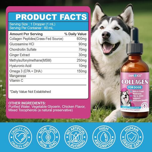 الكولاجين لصحة المفاصل للكلاب، قطرات كولاجين للكلاب التي تتغذى على العشب مع أوميغا 3، فيتامين C للبشرة والمعطف، مكمل الورك والمفاصل مع الجلوكوزامين، الكوندرويتين، حمض الهيالورونيك، العظام، المناعة -2 فلوريدا in Kuwait