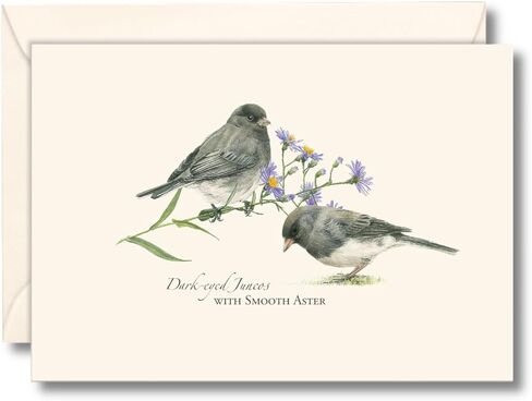 Earth Sky + Water - Juncos Notecard Set - 8 Blank Cards with Envelopes in Saudi Arabia