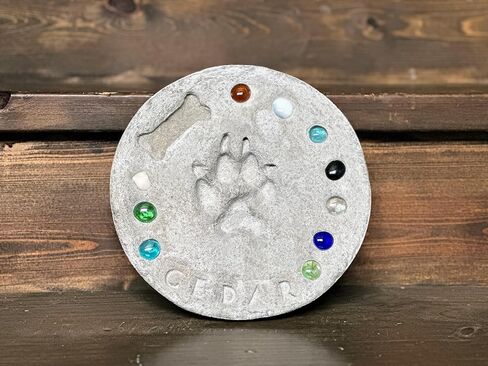 DIY Paw Print Kit for Pets, Personalized Memorial Stepping Stones for Gifts and Pets, Pet Garden Stone (10 Inch, Gray) in Saudi Arabia