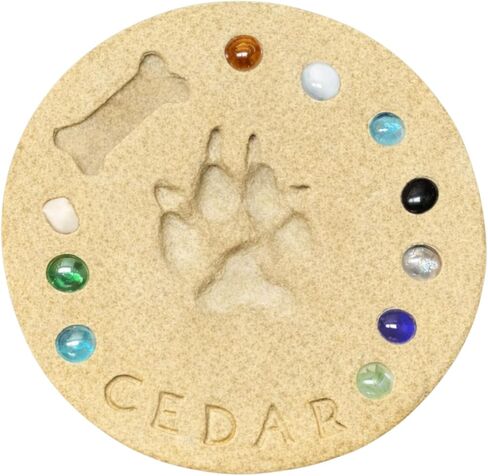 DIY Paw Print Kit for Pets, Personalized Memorial Stepping Stones for Gifts and Pets, Pet Garden Stone (10 Inch, Gray) in Saudi Arabia