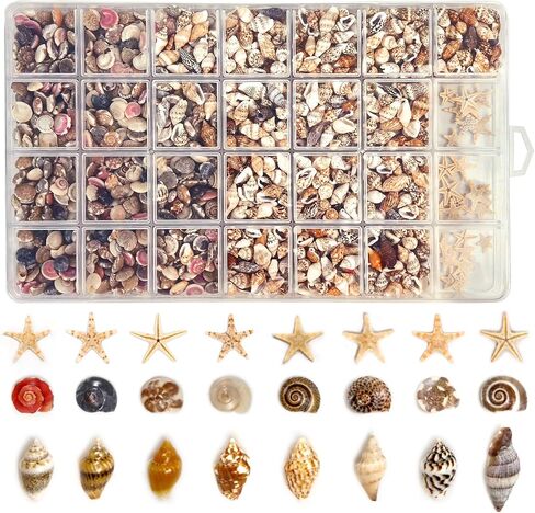 Tiny Seashells for Crafts, Small sea Shells in Bulk with mini Starfish for Home Decorations, DIY Ornaments, Sea Shells for Crafting Vase Filler, Fish Tank in Saudi Arabia