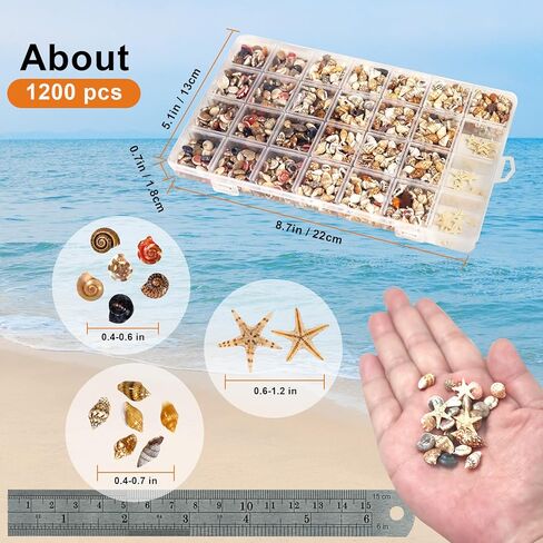 Tiny Seashells for Crafts, Small sea Shells in Bulk with mini Starfish for Home Decorations, DIY Ornaments, Sea Shells for Crafting Vase Filler, Fish Tank in Saudi Arabia