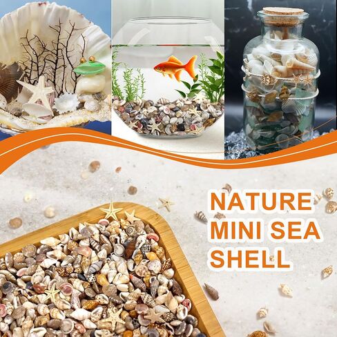 Tiny Seashells for Crafts, Small sea Shells in Bulk with mini Starfish for Home Decorations, DIY Ornaments, Sea Shells for Crafting Vase Filler, Fish Tank in Saudi Arabia
