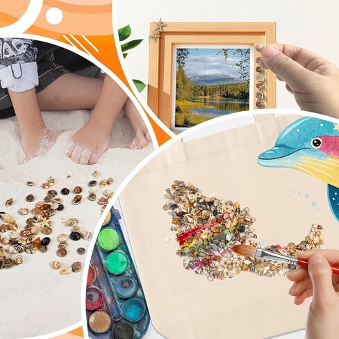 Tiny Seashells for Crafts, Small sea Shells in Bulk with mini Starfish for Home Decorations, DIY Ornaments, Sea Shells for Crafting Vase Filler, Fish Tank in Saudi Arabia