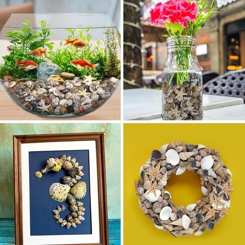 Tiny Seashells for Crafts, Small sea Shells in Bulk with mini Starfish for Home Decorations, DIY Ornaments, Sea Shells for Crafting Vase Filler, Fish Tank in Saudi Arabia