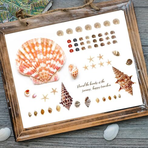 Tiny Seashells for Crafts, Small sea Shells in Bulk with mini Starfish for Home Decorations, DIY Ornaments, Sea Shells for Crafting Vase Filler, Fish Tank in Saudi Arabia