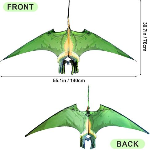 Pterodactyl Kite with Handle, in Saudi Arabia