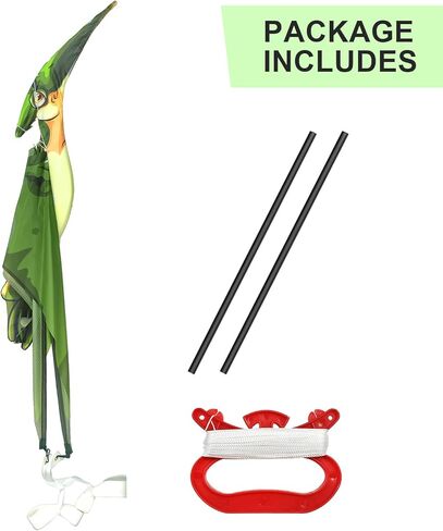 Pterodactyl Kite with Handle, in Saudi Arabia