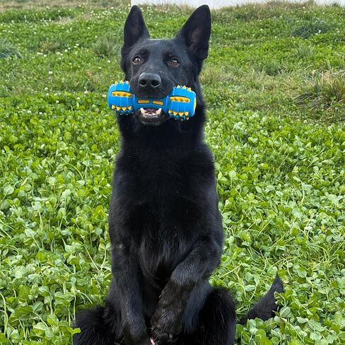 Ruffoo GnawBell Dog Squeaky Chew Toy for Heavy Chewers, Durable Dual-Layer Design, Interactive Natural Rubber Dog Toy for Medium & Large Breeds in Saudi Arabia