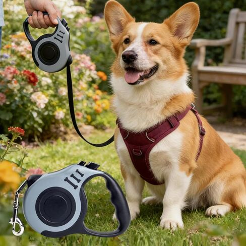 Retractable Dog Leash 3m 10ft Auto Extend Walking Lead with One Button Brake Lock System Comfortable Grip Tangle Resistant in Saudi Arabia