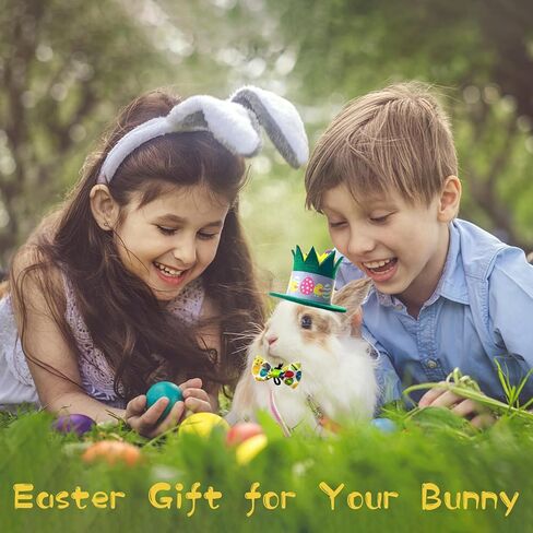 Vehomy Small Pet Easter Day Outfit Costume for Bunny Guinea Pig Easter Bunny Hat with Chick Easter Egg Décor Chicken Nest Shape Rabbit Guinea Pig Hat Bow Collar for Rabbit Bunny 4Pcs in Saudi Arabia