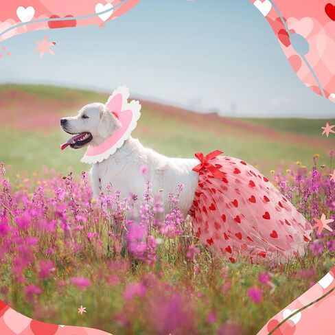 9 Pcs Valentines Dog Costume, Dog Valentines Outfit Including Heart Shaped Rope Toy Hearts Pet Hat and Sequin Tutu Skirt for Pet Holiday Birthday Wedding Party(Large) in Saudi Arabia