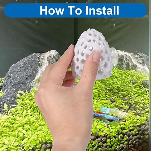 Shrimp Hide Shrimp Hides for Aquarium Betta Habitat Fish Tanks Tunnel with Suction Cup Aquarium Fishes Hideout Ornament Accessories for Small Fish Guppy in Saudi Arabia