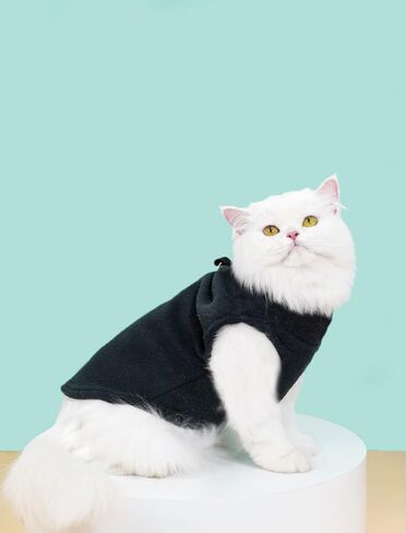 1Pcs Pet Apparel for Small Dogs and Small Cats Machine Washable, All-Season Comfort,M,Black in Saudi Arabia