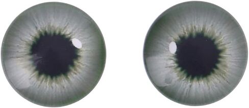 MOMOJIA 20Pcs Glass Doll Eyes Animal DIY Crafts Eyeballs for Dinosaur Eye Accessories Jewelry Making Handmade 8mm/12mm/18mm in Saudi Arabia