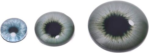 MOMOJIA 20Pcs Glass Doll Eyes Animal DIY Crafts Eyeballs for Dinosaur Eye Accessories Jewelry Making Handmade 8mm/12mm/18mm in Saudi Arabia