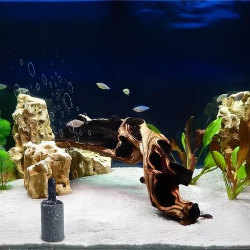 أحجار هواء لحوض السمك مقاس 2.54 سم، 20 عبوة من حجر فقاعات خزان الأسماك، موزع فقاعات مهوية، ملحقات مضخة هواء نانو، أسطوانة in Kuwait