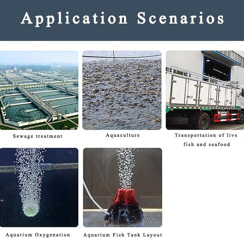 أحجار هواء لحوض السمك مقاس 2.54 سم، 20 عبوة من حجر فقاعات خزان الأسماك، موزع فقاعات مهوية، ملحقات مضخة هواء نانو، أسطوانة in Kuwait