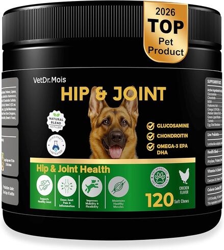 Dog Hip & Joint Supplement Chews with Glucosamine & Chondroitin – Joint Support for Senior & Large Breed Dogs, Helps Mobility & Flexibility – 120 Ct in Kuwait