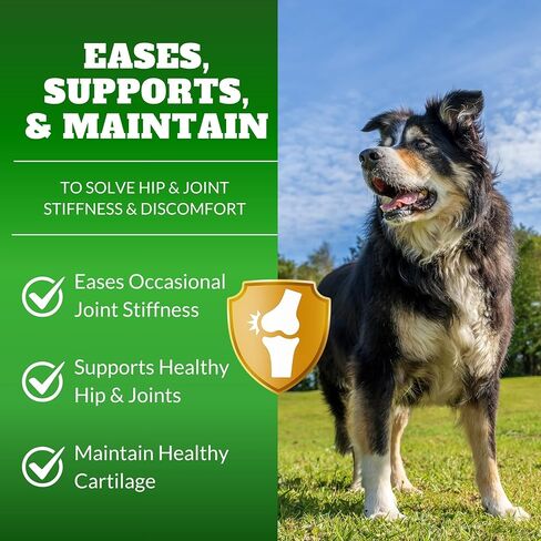 Dog Hip & Joint Supplement Chews with Glucosamine & Chondroitin – Joint Support for Senior & Large Breed Dogs, Helps Mobility & Flexibility – 120 Ct in Kuwait
